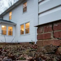 mouse at foundation of a house with a cracked foundation
